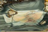 Exceptional, Polished Slab of Blue Mountain Jasper - Oregon #302898-1